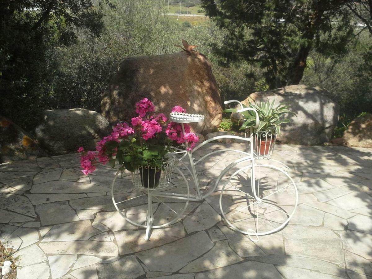 Villa Desideria B&B Capitana Kültér fotó